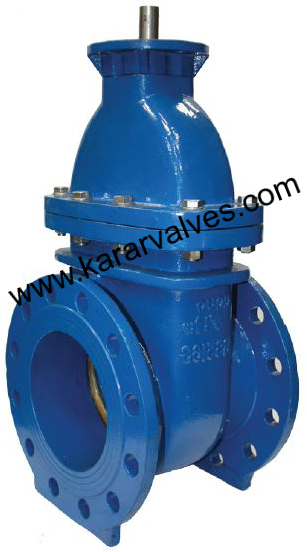 Resilient Seated Gate Valve